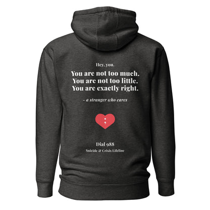 You Are Exactly Right Hoodie