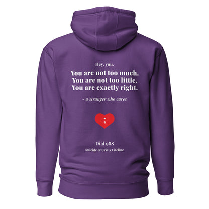 You Are Exactly Right Hoodie