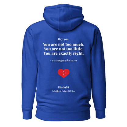 You Are Exactly Right Hoodie